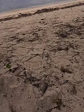 blacks couples online show from April 27, 1:19 pm