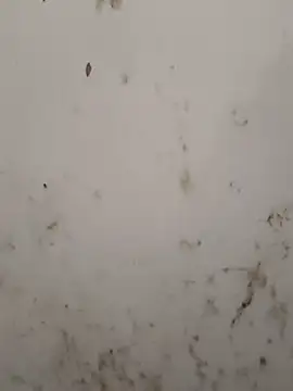 Heavem online show from December 28, 8:25 pm