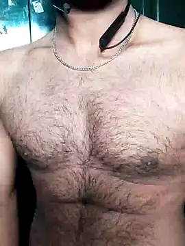 ChestFeast online show from January 8, 7:55 am