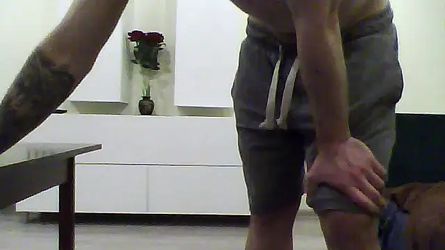 shufflercat online show from April 17, 9:17 pm