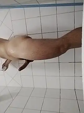 ToddynhoDuck online show from February 13, 3:07 am