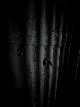 Qmaster69 online show from February 11, 3:28 pm