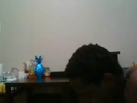 Snapshot of Hugedick0071 chatting on January 13, 12:02 pm Hugedick0071 online show from January 13, 12:02 pm