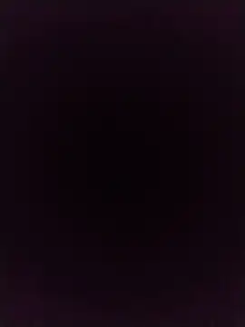 Meriozoro online show from April 11, 4:21 pm