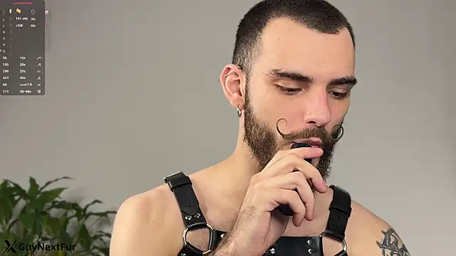 xteddy bear online show from December 13, 8:37 pm