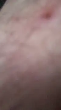 Snapshot of nevessartori chatting on December 27, 10:05 pm nevessartori online show from December 27, 10:05 pm