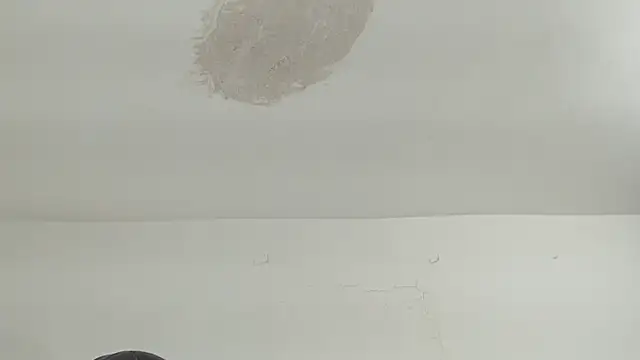 brant garciabbc online show from April 16, 9:39 pm