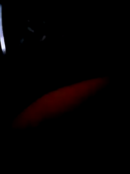 pascalino100 online show from April 4, 12:02 pm