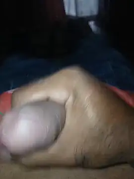 taylorWiiz online show from November 21, 2:27 pm