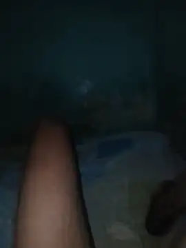 taylorWiiz online show from December 21, 4:31 am