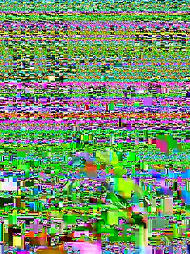 stijn19911 online show from November 2, 8:35 pm