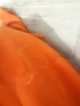 lm279 online show from November 21, 4:17 pm