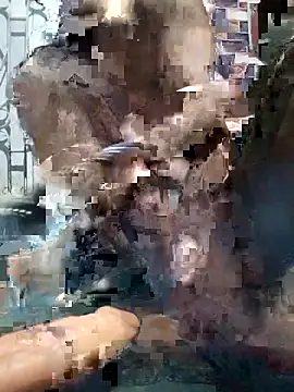 AssamSilchar93 online show from November 7, 4:21 pm