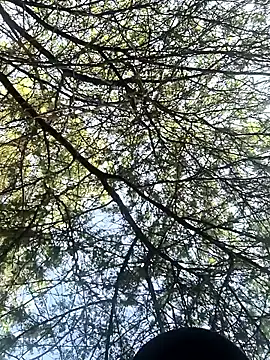 Abinash7732 online show from March 8, 2:15 am