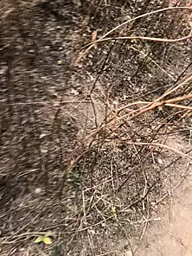 Abinash7732 online show from December 25, 8:18 am