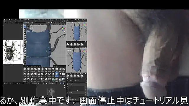 ikkakusai11 online show from November 21, 2:32 am