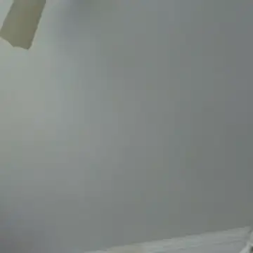 vanscr1 online show from February 3, 1:38 pm