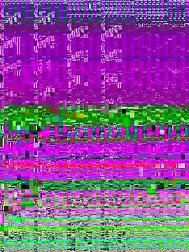 4n4l1zz4m1 online show from November 11, 1:49 pm