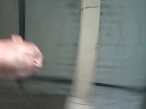 strip 1212 online show from November 7, 12:03 am