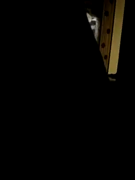 Sid4Sex online show from October 7, 7:07 pm