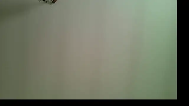 Snapshot of panigalenew chatting on October 25, 12:29 pm panigalenew online show from October 25, 12:29 pm