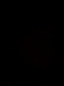 dojw online show from October 19, 8:06 am