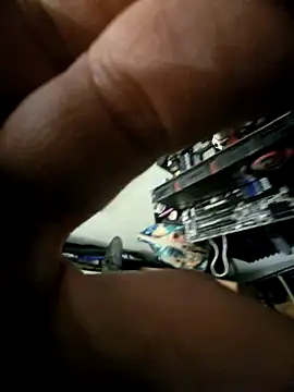 SunnyWild online show from April 18, 12:23 am