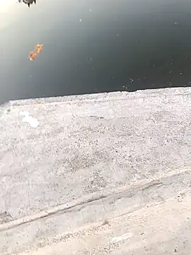 1010SumiT online show from March 22, 1:08 pm