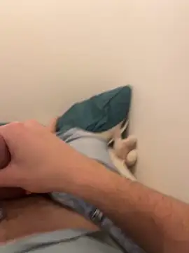 Enzo showww online show from December 23, 5:32 pm