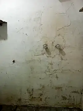 fedvrrico online show from December 24, 8:00 am