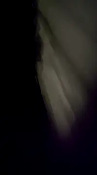 BurroParao online show from December 5, 2:20 am