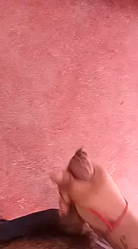 pedritolobito online show from January 15, 1:41 pm