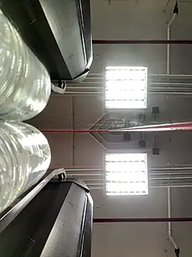 luv2masterb8247 online show from March 21, 2:07 am