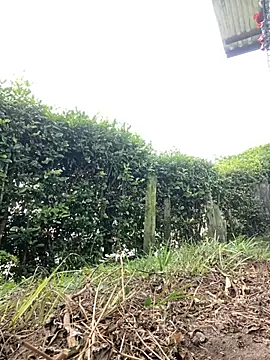 Jestebanano online show from November 29, 3:14 pm