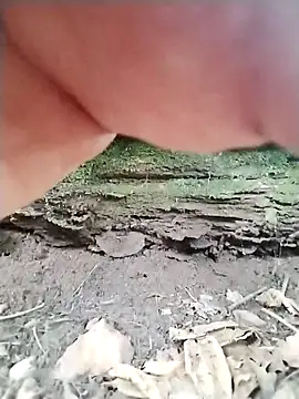 Blacklicious777 online show from November 10, 4:45 pm