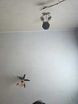 vulpe8400 online show from April 6, 8:04 am