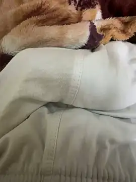 hamed-697 online show from December 4, 9:57 pm