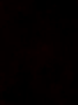 bigghetto1 online show from March 11, 4:41 am