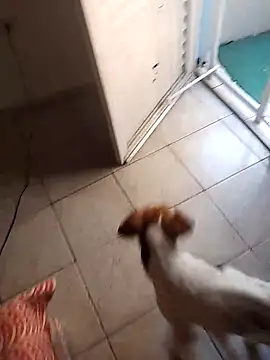 Ricardo64f online show from April 1, 1:52 pm