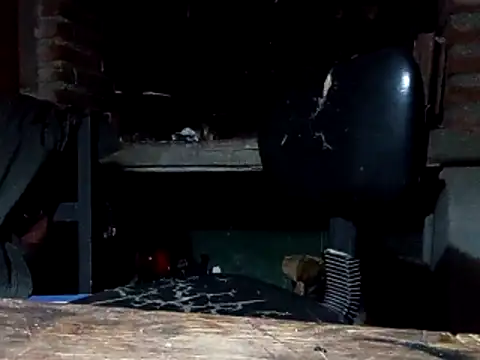 tus ordenes mis deseos online show from April 7, 4:56 am