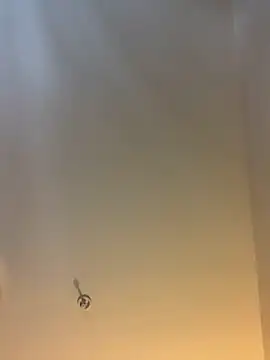 themasteer69 online show from February 3, 8:36 pm