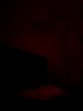 SisterlyFarmhand online show from October 7, 7:45 am