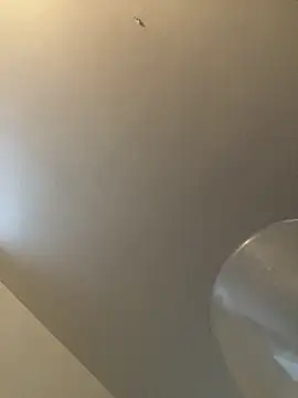 bv7L1h5i6B jNHe online show from January 28, 1:05 pm