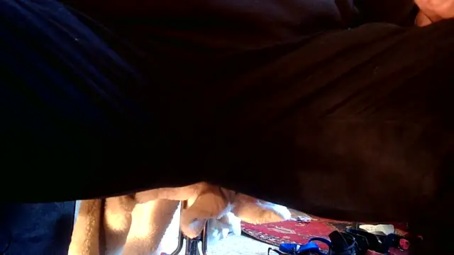 SilverandFox online show from September 10, 5:44 pm