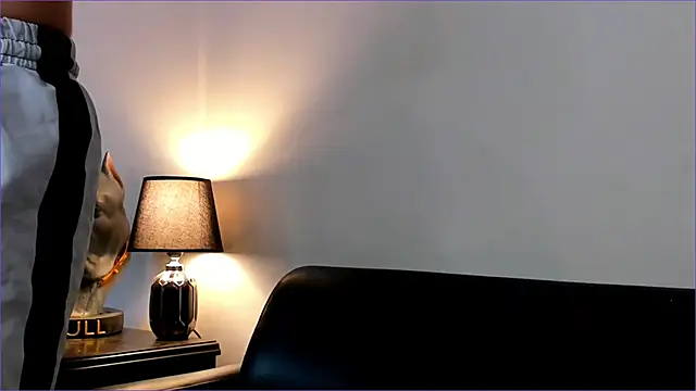 Snapshot of BradLeon_ chatting on September 23, 8:19 pm BradLeon  online show from September 23, 8:19 pm