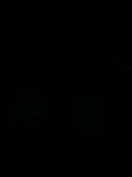 andreiwhite2  online show from December 18, 12:06 am