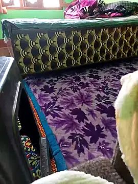 bigtoool12 online show from October 2, 6:28 am