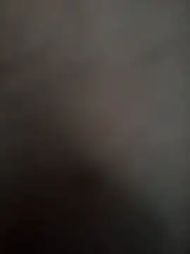 prnv00007 online show from December 29, 5:31 am