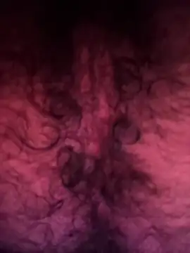 PermingRawhide online show from April 7, 11:27 pm