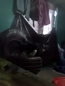 gasp-nvo online show from February 15, 12:28 am